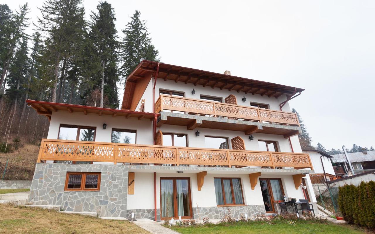 Casa Belcin Spa&Retreat Busteni Bagian luar foto